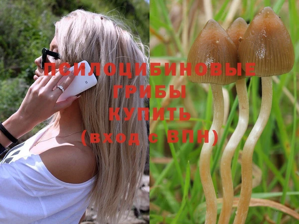 марихуана Вяземский