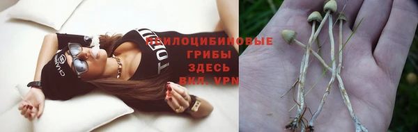 сатива Вязники