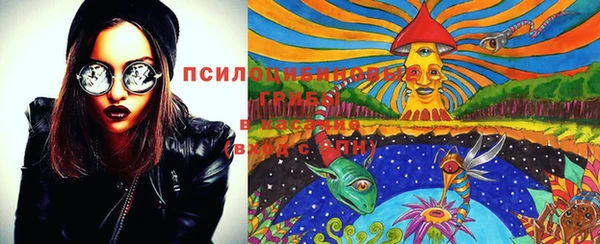 сатива Вязники