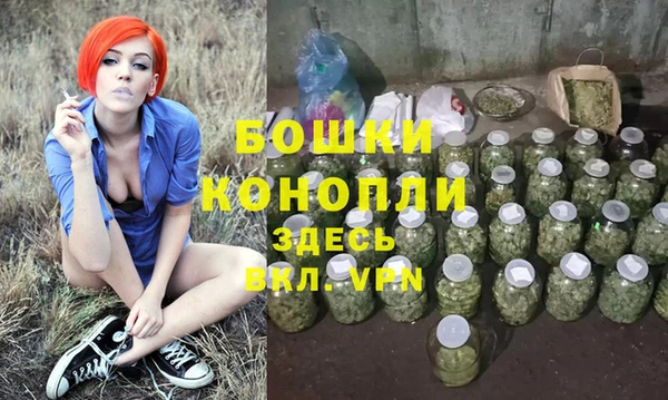 сатива Вязники
