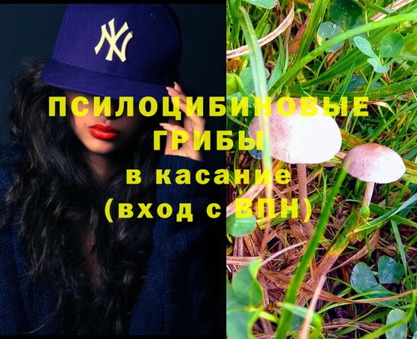 марихуана Вяземский