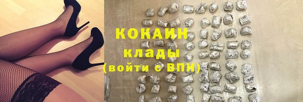 сатива Вязники